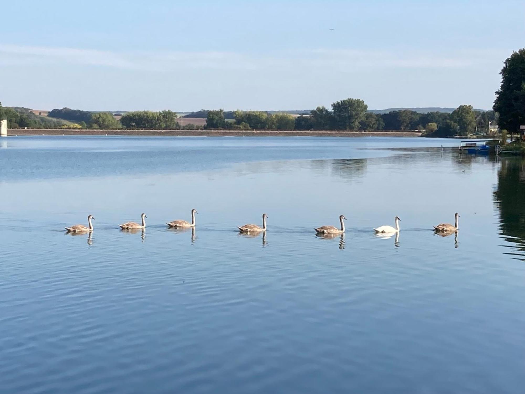 Campingfass Mit Panoramaterrasse Langenbernsdorf Luaran gambar